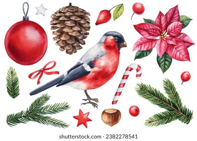 Winter bird watercolor isolated white background. Hand painted illustration. Bullfinch, pine cone and Christmas boll  - Powered by Shutterstock