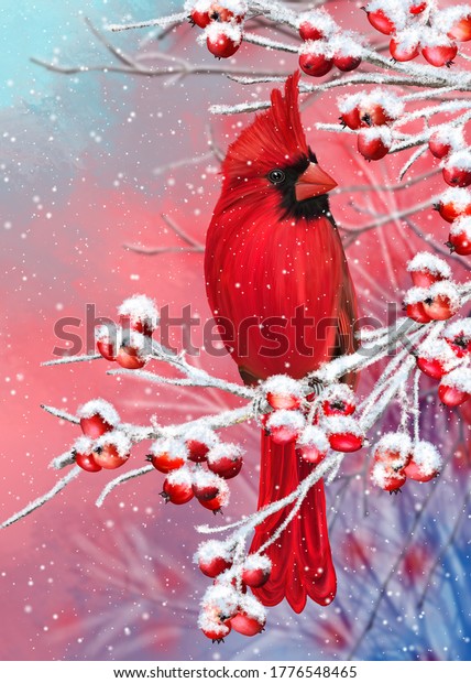 Winter Christmas Background Red Cardinal Bird Stock Illustration ...