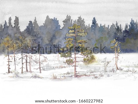 winter landscape with rare pines near the forest, hand-painted by watercolor