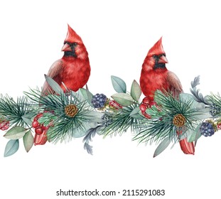 Winter seamless border with red cardinal birds. Watercolor illustration. Hand drawn festive winter seamless border with pine, eucalyptus, berries, birds. Christmas decoration. White background
