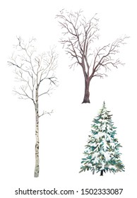 Winter Trees Set. Watercolor Silhouettes Of Snow Covered Christmas Tree, Birch And Elm. 