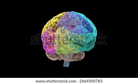 Wireframe visualization of the right hemisphere of the human brain, shown from a posterolateral view with distinct colored lobes and cerebellum, rendered on a black background for clarity.