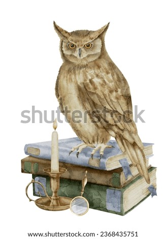 Wise Owl on a stack of books. Watercolor illustration of bird a symbol of wisdom and knowledge. Hand drawn clipart on isolated background. Drawing of educational school notebooks with candle light.