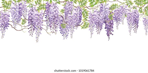 藤の花 の画像 写真素材 ベクター画像 Shutterstock