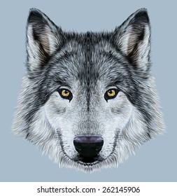 Wolf Face Realistic Images Stock Photos Vectors Shutterstock