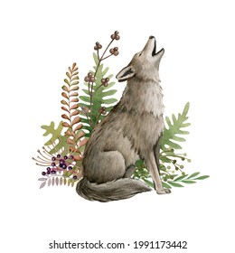 Wolf Animal And Forest Herbs. Watercolor Illustration. Wild Howling Wolf. Floral Arrangement Decor. Furry Grey Animal In Wild Forest Herbs, Fern, Berries. Side View Forest Animal Decoration