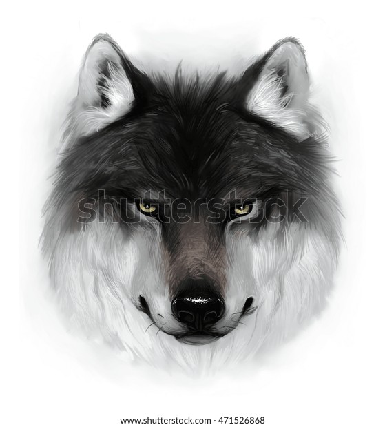 オオカミの顔のイラスト のイラスト素材