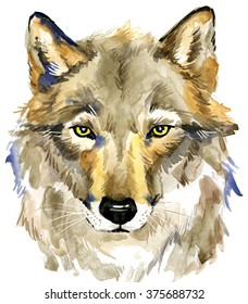 Wolf. Forest Animal Watercolor Illustration