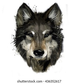 Wolf Hand Painted. Watercolor Illustration 