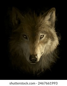 Wolf head on the white background. Digital painting.