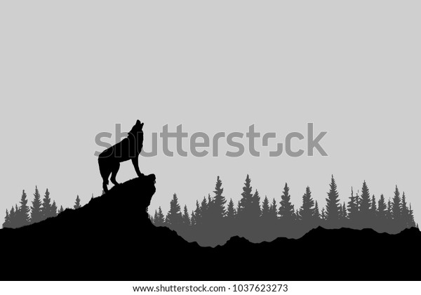 白黒の森で遠吠えする狼 のイラスト素材