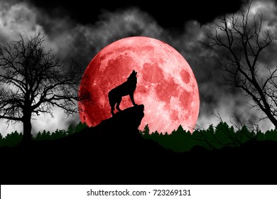 Beautiful Wolf Howling At The Red Moon Wallpaper