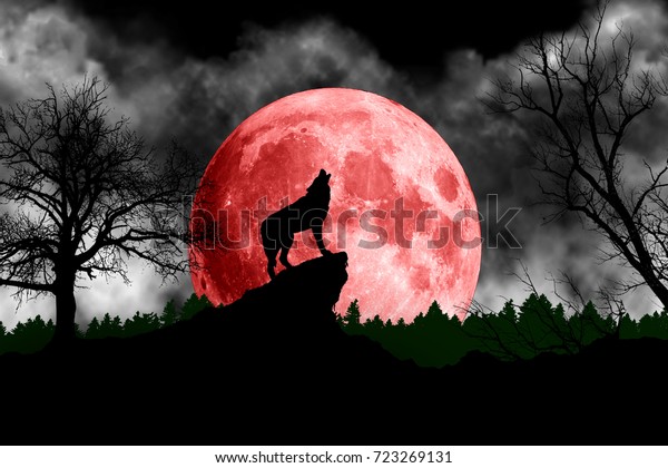 狼が赤い月に向かって遠吠えする のイラスト素材