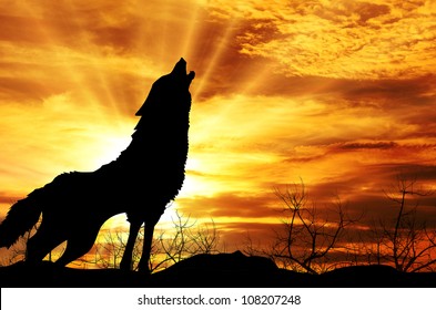 3,219 Wolf fire Images, Stock Photos & Vectors | Shutterstock