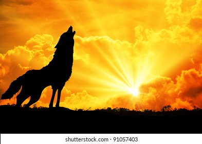 3,219 Wolf fire Images, Stock Photos & Vectors | Shutterstock