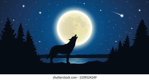 wolf howls to the full moon in a starry night illustration