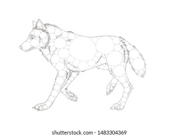 Wolf made up circles