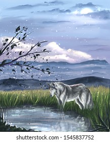 The wolf  