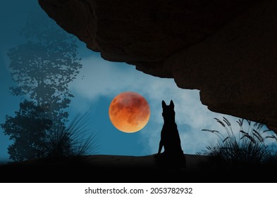 Wolf Silhouette In The Cave With Red Moon In The Evening