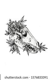 Wolf Skull With Few Leaves