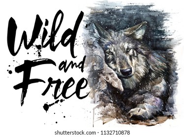 Wolf Watercolor Animals Predator Wildlife