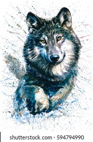 Wolf Watercolor Animals Predator Wildlife