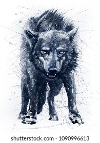 Wolf watercolor painting black & white
