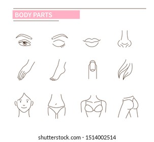 Woman Body Parts Icons Line Style Stock Illustration 1514002514 ...