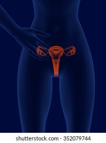 Woman Body With Visible Anatomic Reproductive Organs Structure In X-ray