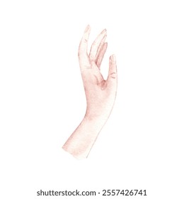 Woman left Hand. Watercolor hand drawn illustration of Arm in realistic style isolated on a white background. Design element for beauty product or fashion design. - Powered by Shutterstock