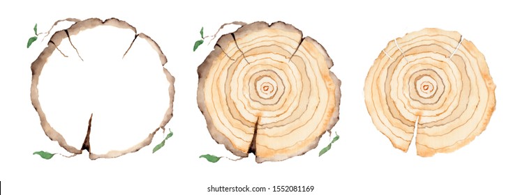 Wood Slice Set. Tree Rings. Watercolor Illustration.  Painted Texture.