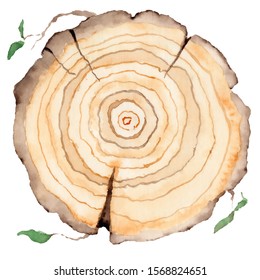 Wood Slice. Tree Rings. Watercolor Illustration.  Painted Texture.