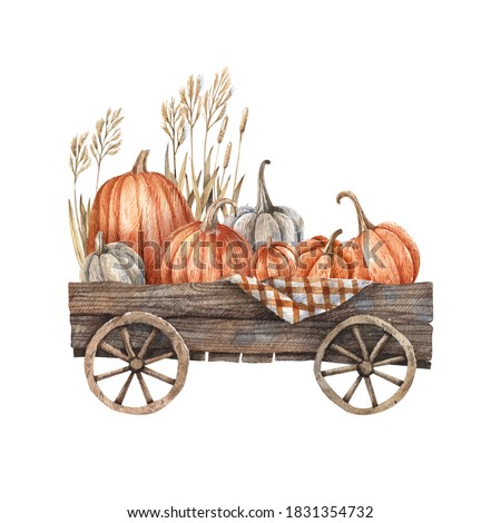 Wooden cart with pumpkins and autumn herbs painted in watercolor. Autumn illustration, harvest, farming, October.