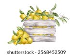 Wooden crate with fresh lemons with white flowers and pile Lemons Fruit. Farmer