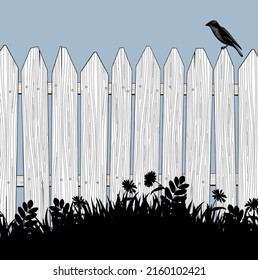 A wooden fence with a bird sitting on it and black silhouette of growing grass. Vintage color engraving stylized drawing