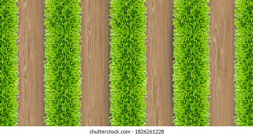 wooden panel with green grass 3d background for wallpaper
