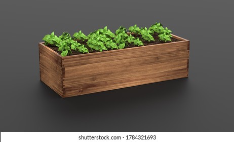 Wooden Raised Garden Beds. 3D Rendering