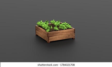 Wooden Raised Garden Beds. 3D Rendering