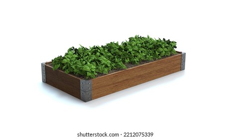 Wooden Raised Garden Beds. 3D Rendering