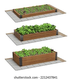 Wooden Raised Garden Beds. 3D Rendering