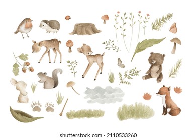 Woodland Animals watercolor forest illustration baby