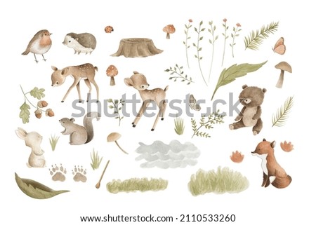 Woodland Animals watercolor forest illustration baby 商業照片 © 