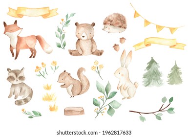 Woodland baby animals watercolor illustration of fox, bear, squirrel, rabbit, hedgehog and racoon for nursery 