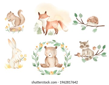 Woodland baby animals watercolor