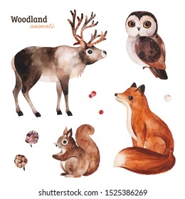 Woodland set with cute reindeer,fox,owl and squirrel.Cartoon winter animals.Perfect for your project,print,scrapbook,baby shower,Birthday card,invitations,greeting card,christmas and much more.