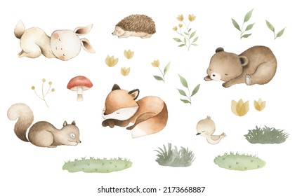 Woodland sleeping animals watercolor illustration 