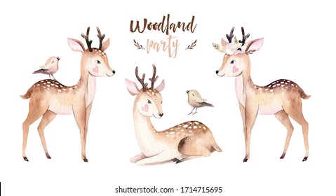 Woodland Watercolor Cute Animals Baby Deer. Scandinavian Cartoon Forest Nursery Poster Design