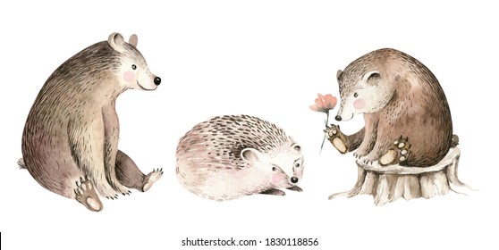 Woodland watercolor cute animals baby bear and hedgehog Scandinavian owls on forest nursery poster design. Isolated charecter.