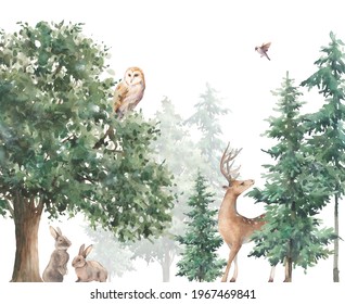 Woodland wildlife wallpaper. Illustration with owl, deer and rabbits. Watercolor animal and forest evergreen trees on white background. 