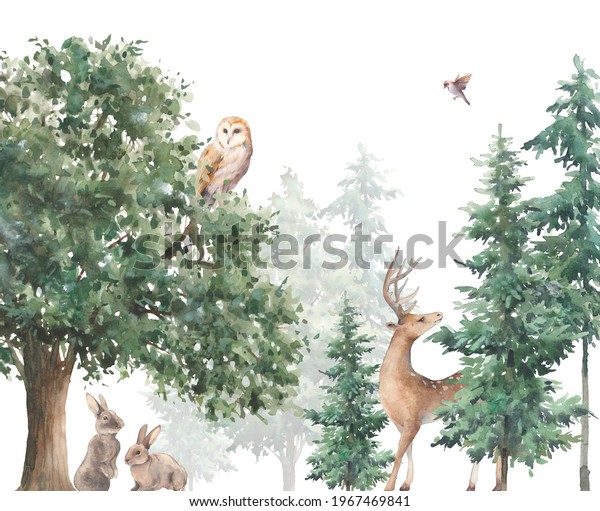 Woodland wildlife wallpaper. Illustration with owl, deer and rabbits. Watercolor animal and forest evergreen trees on white background. 